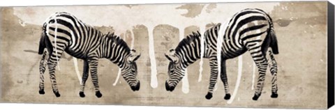 Framed Two Zebras Print