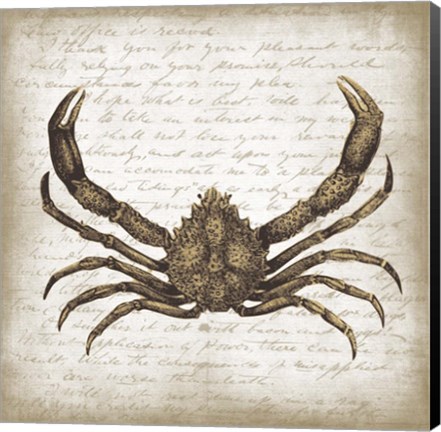 Framed Crab II Print