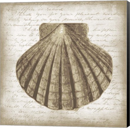 Framed Shell I Print