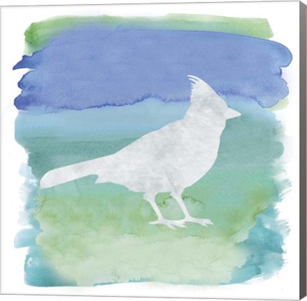 Framed Watercolor Bird 3 Print