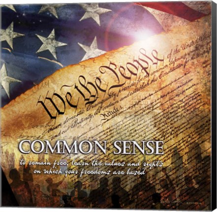Framed Common Sense Print