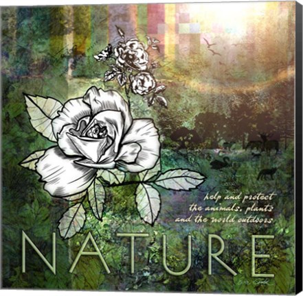 Framed Nature Print