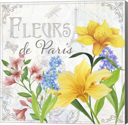 Framed Fleurs II Print