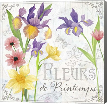 Framed Fleurs III Print