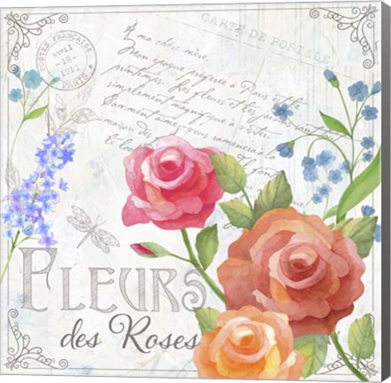 Framed Fleurs V Print