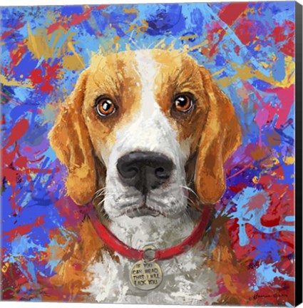 Framed American Fox Hound Print