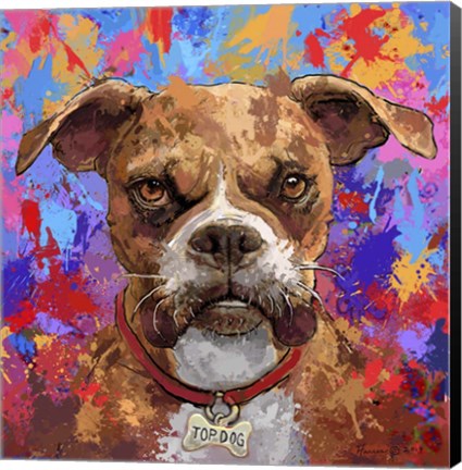 Framed Boxer Print
