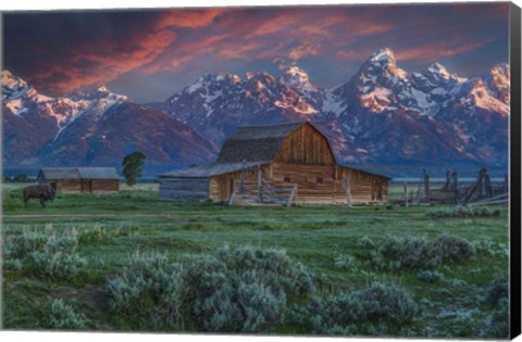 Framed Grand Teton Mormon Barn At Sunrise Print