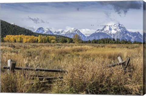 Framed GTNP Scene Mt. Moran Print