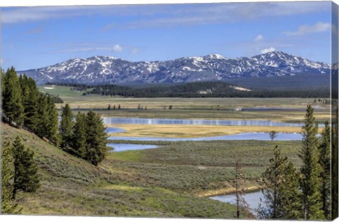 Framed Hayden Valley (YNP) Print