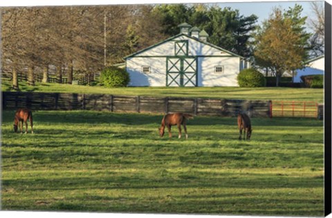 Framed Horse Farm Landscape Print