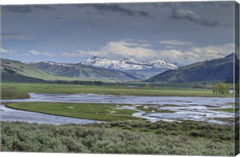 Framed Lamar Valley (YNP) Print