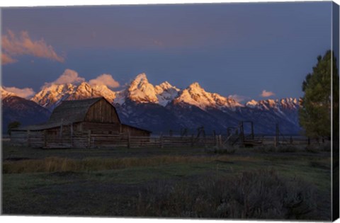 Framed Moulton Barn At Sunrise Print