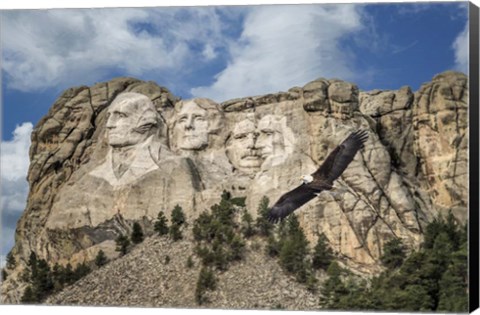 Framed Mount Rushmore And Eagle Print