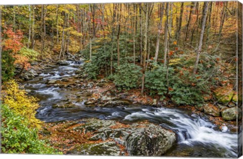 Framed Tremont Stream Print