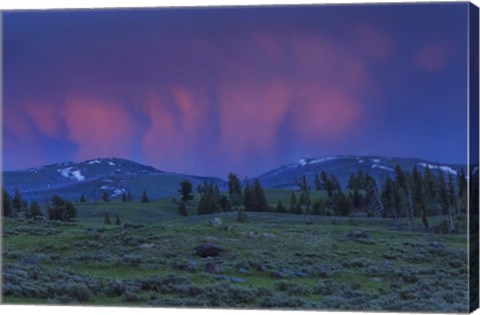 Framed YNP Sunset Print