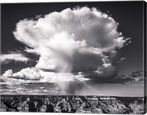 Framed Silver Cloud Print