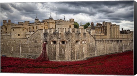 Framed Tower London Print