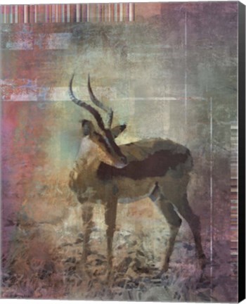 Framed Africa Antelope Print