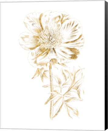 Framed Gilded Botanical VIII Print