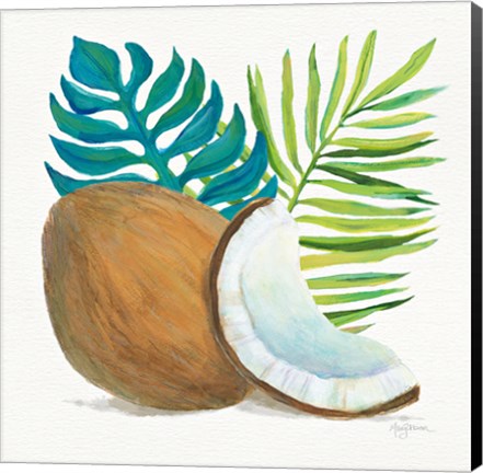 Framed Coconut Palm IV Print