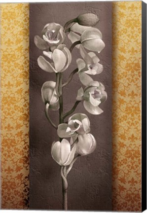 Framed Cymbidium Decor Print