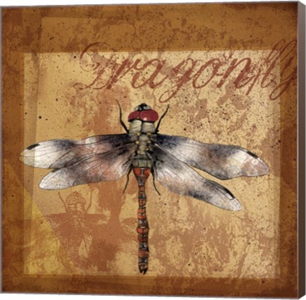 Framed Dragonfly I Print