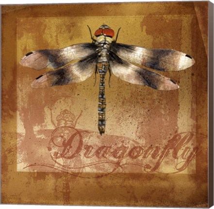 Framed Dragonfly II Print