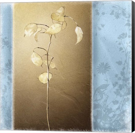 Framed Lunaria II Print