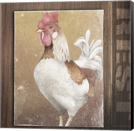 Framed Rooster II Print
