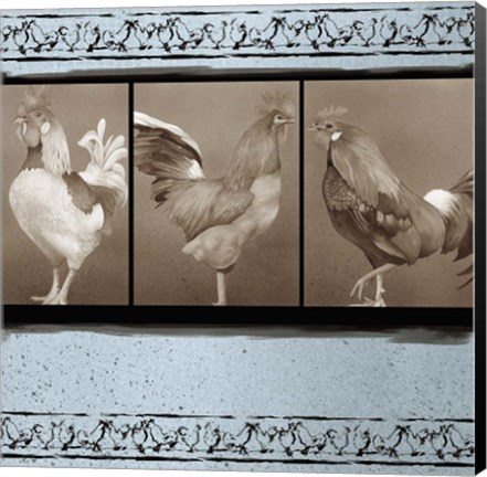 Framed Rooster Ware Aqua II Print