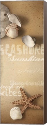 Framed Sandy II Print