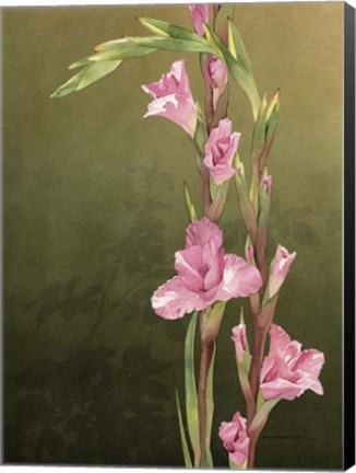 Framed Glad Sisters Print