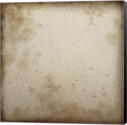 Framed Combshell II Print