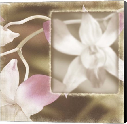 Framed Dendro I Print