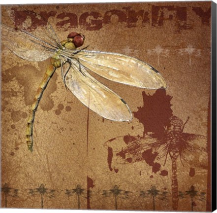 Framed Dragon I Print