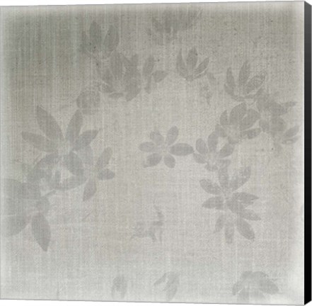 Framed Echinacea II Print