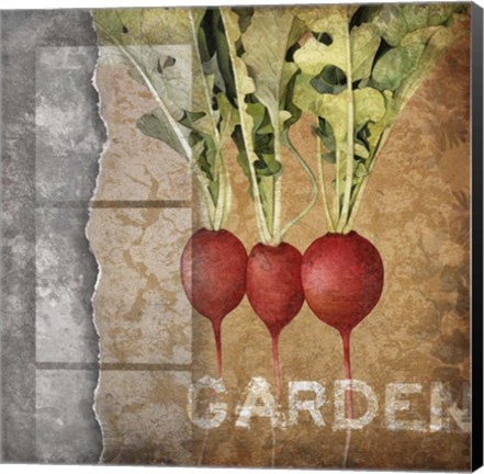 Framed Garden I Print