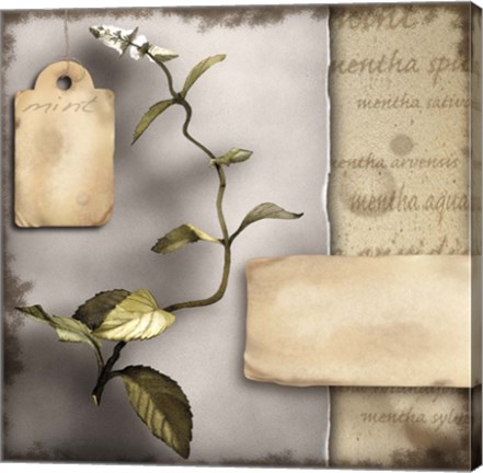 Framed Mint I Print