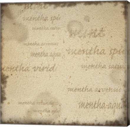 Framed Mint II Print