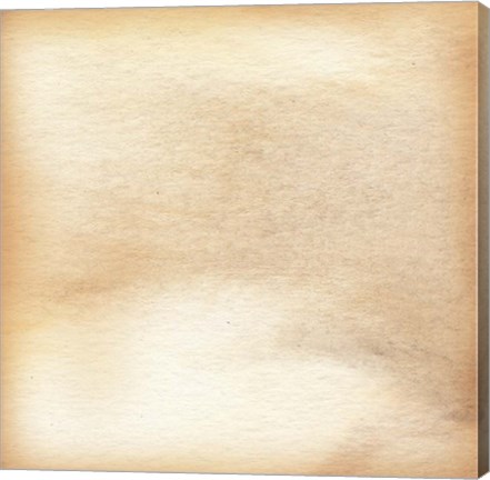 Framed Nautalis II Print