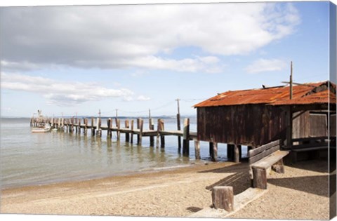 Framed China Camp Pier Print