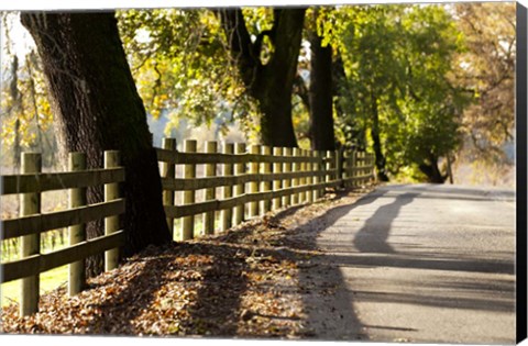 Framed Roadside Fence Print