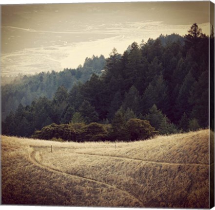 Framed Diverging Paths 2 Print