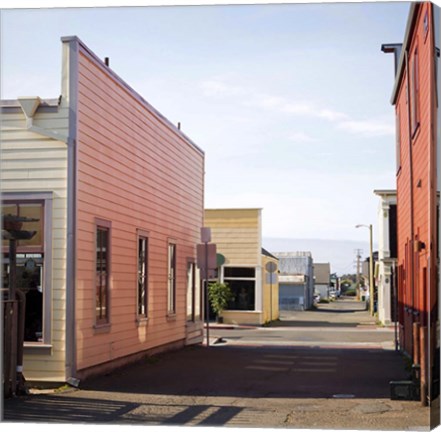 Framed Fort Bragg Alleyway Print