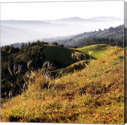 Framed Hilltop Vista Print