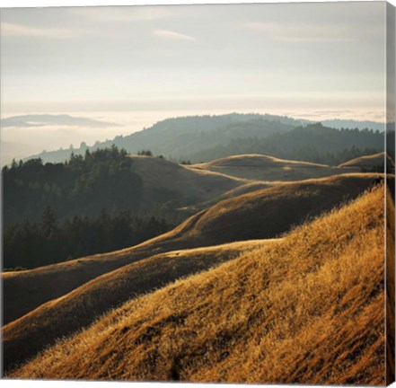 Framed Marin Hills Print