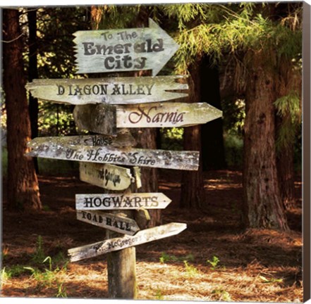 Framed Oh the Places you will go Print