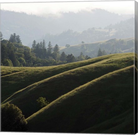 Framed Rolling Fog and Rolling Hills Print