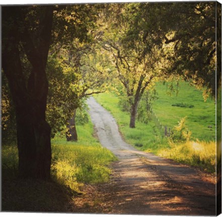 Framed Springtime Afternoon Print